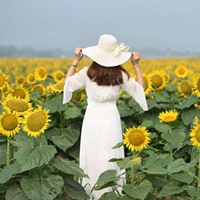 漫步花海的女生背影头像//想和你漫步在花海之中