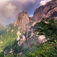 袋鼠头像 澳洲国宝袋鼠头像 (6)