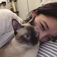 一个女孩抱着猫的头像 一个女的抱着一只猫的头像 (22)