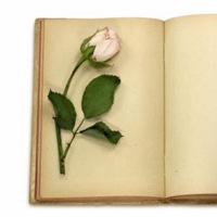 猫眼三姐妹小童情侣头像 (5)