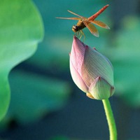 男人，何谓成熟？ (5)