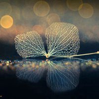 显得成熟的头像男生 (2)