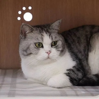 可爱软糯萌宠头像//风和日暖 (9)