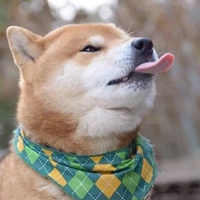 可爱软糯萌宠头像//风和日暖 (15)