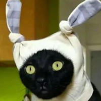 微信头像逗比沙雕 搞怪沙雕又不失逗比的头像 (22)