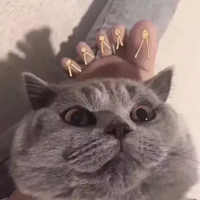 4.1日愚人节搞笑有趣头像，太太太搞笑了！ (4)