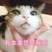 猫咪萌宠恶搞带字头像2021最新 (12)