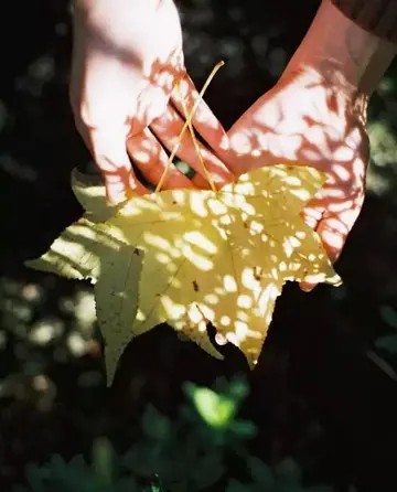 树荫下的时髦女子