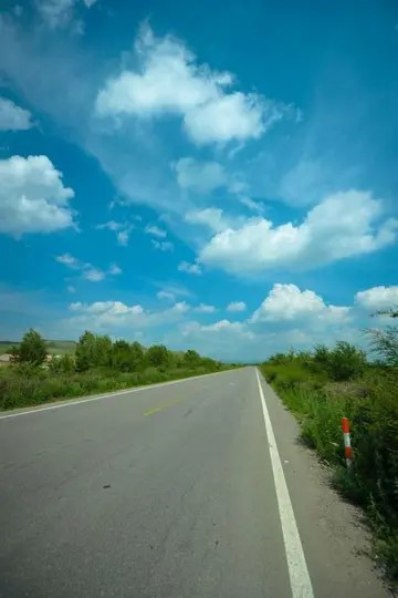 适合云淡风轻的头像