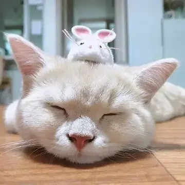 一帅气有趣的卡通微信头像，非常有意思的立体漫画头像