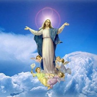 圣母婊头像图片 (21)