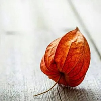 关于风景的qq头像 (5)