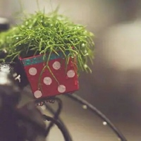 关于风景的qq头像 (6)