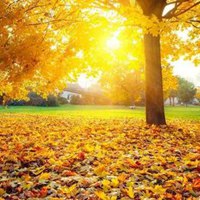 关于风景的qq头像 (10)