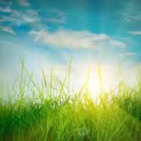 关于风景的qq头像 (12)