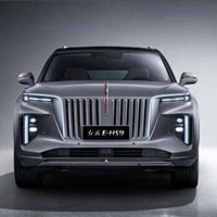 红旗E-HS9汽车高清头像 (9)