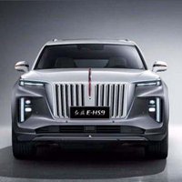 红旗E-HS9汽车高清头像 (15)