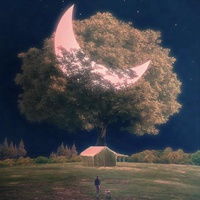 一组人见人爱的唯美小清新图片 (11)