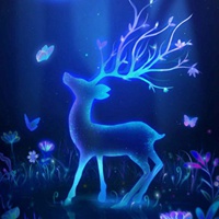 梦幻的花朵 唯美而迷幻之花香渗入心 (8)