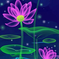 梦幻的花朵 唯美而迷幻之花香渗入心 (12)