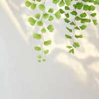 小清新的一些风景+静物头像 (4)