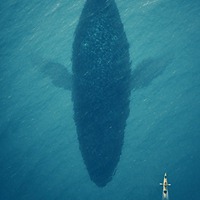 那些胜似人间天堂的美景图片 (2)