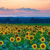 那些胜似人间天堂的美景图片 (9)