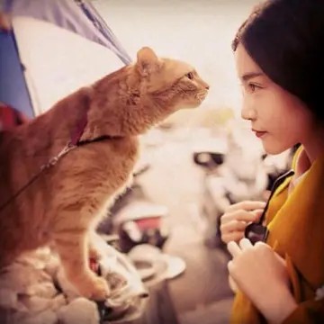 女孩牵着狗的情侣头像