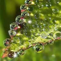 微信伤感风景头像大全 (11)