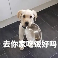 晚上不吃饭的图片带字 (7)