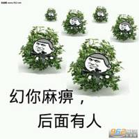 绝地求生头像表情包 (1)