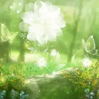 简单大方微信头像 成熟简单大方干净头像 (1)