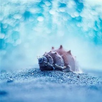 简单大方微信头像 成熟简单大方干净头像 (6)