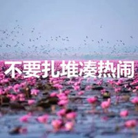 拒绝扎堆头像 不要扎堆凑热闹头像带字 (6)