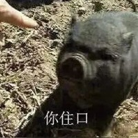 有懒猪字的头像