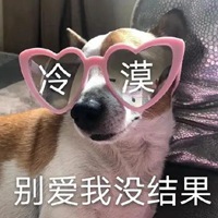 懒猪起床的图片带字 (21)