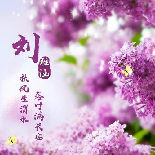 微信头像,姓氏头像,20款样式供你欣赏,喜欢请带走