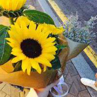 好看的阳光下向日葵微信头像图片【点击鼠标右键下载】