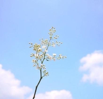 微信签名正能量的句子简短精炼让人斗志昂扬