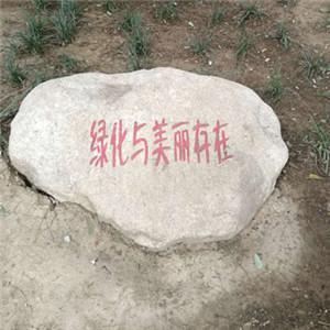 正能量头像 正能量的微信头像(爱护花草绿化与美丽存在)