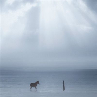 2021微信头像唯美清新正能量要逼自己优秀然后骄傲的生活