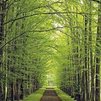 2017年正能量微信头像_2017年最美的微信头像