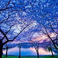 2017年正能量微信头像_2017年最美的微信头像