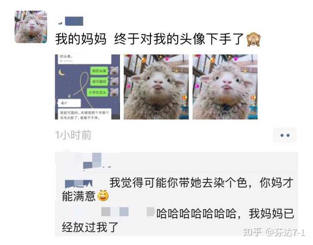 你的微信头像会被爸妈嫌弃吗?