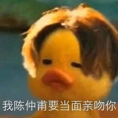 父子三人的微信头像