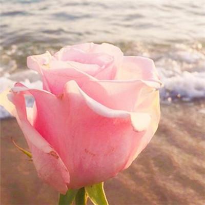 微信头像简约干净2018唯美风景 就算终有一别也别辜负了相遇分享!