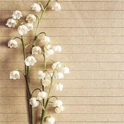 微信最吉利的好看头像简约干净 活得快乐才是人生最难的部分分享!