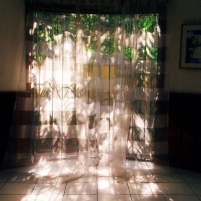 最唯美微信头像真实花草图片 好看有意境的风景微信头像 .