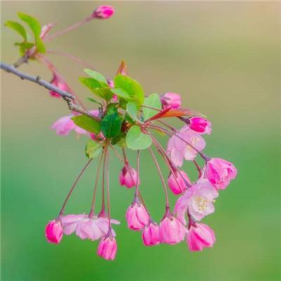 2021最新微信头像唯美风景真实有意境有气质的微信风景头像