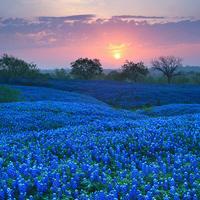比较真实的微信风景头像图片大全点击鼠标右键下载